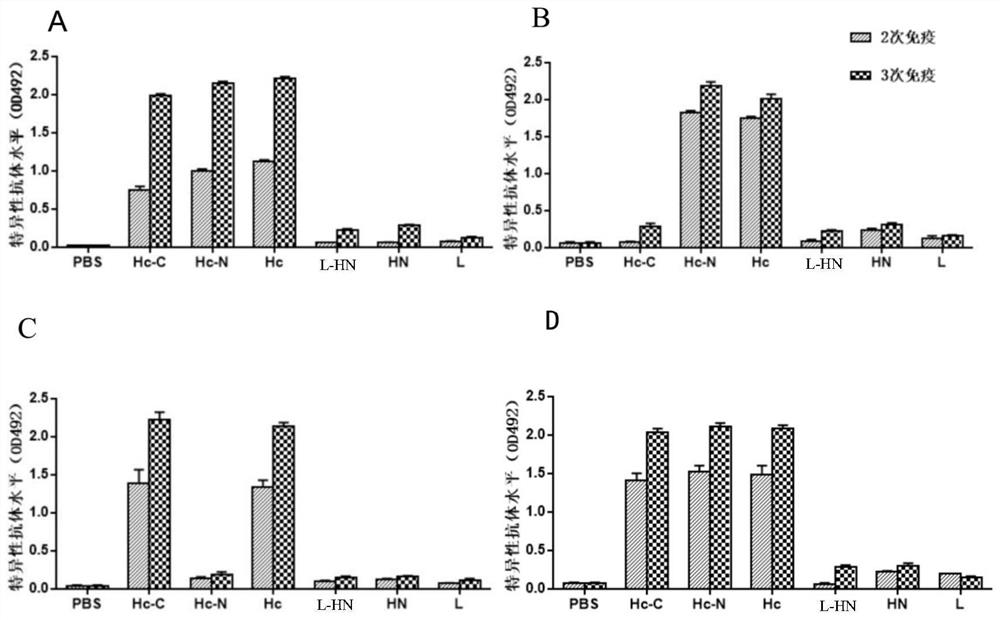 Preparation method and application of e-type botulinum toxin recombinant l-hn antigen