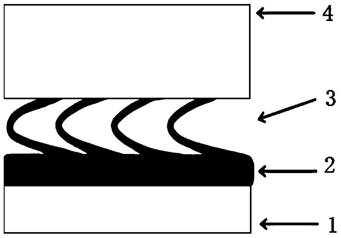 Sunglasses for gaining far-infrared rays and activating eye cells and preparation method thereof