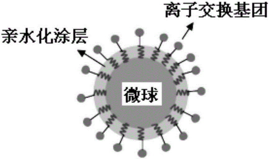 Preparation method of hydrophilic high-loading-capacity ion exchange separation and purification microsphere material