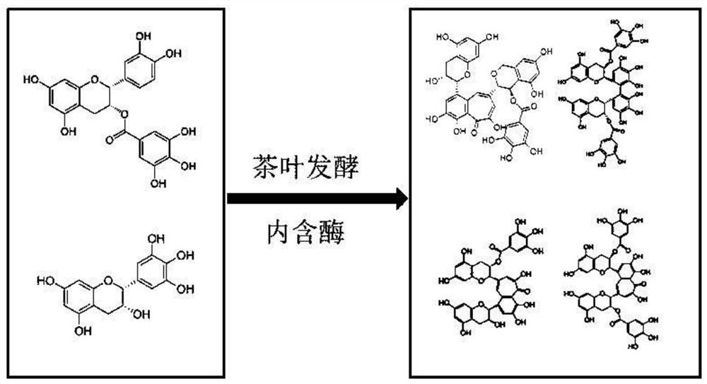 A method and device for intelligently regulating the fermentation quality of black tea in real time using Raman scanning