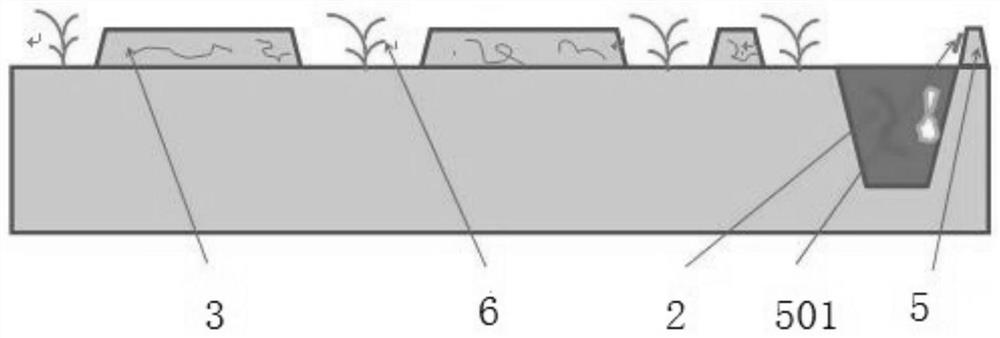 Landscape-type comprehensive planting and breeding methods in paddy field