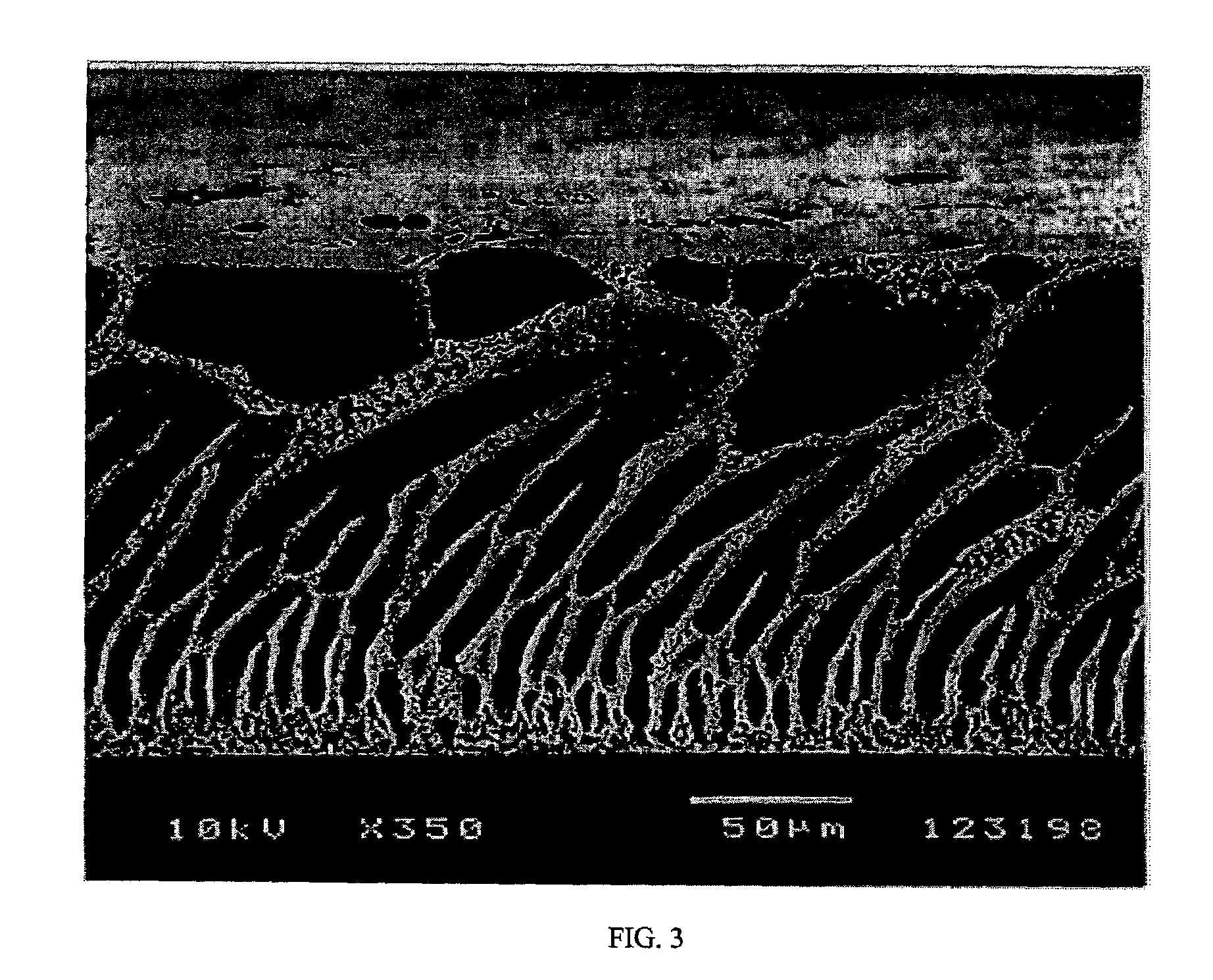 Sulfonated aryl sulfonate matrices and method of production