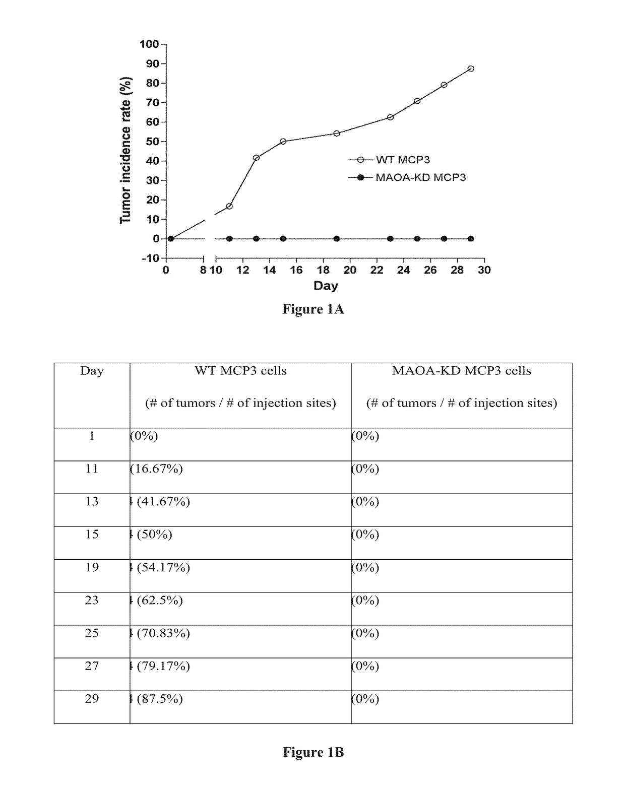 Monoamine oxidase inhibitors and methods for treatment and diagnosis of prostate cancer