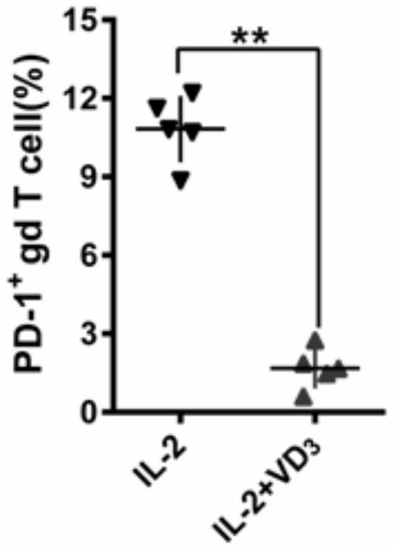 Vitamin D3 or its active form 1α,25(oh)  <sub>2</sub> d  <sub>3</sub> Application in inhibiting the expression of PD-1