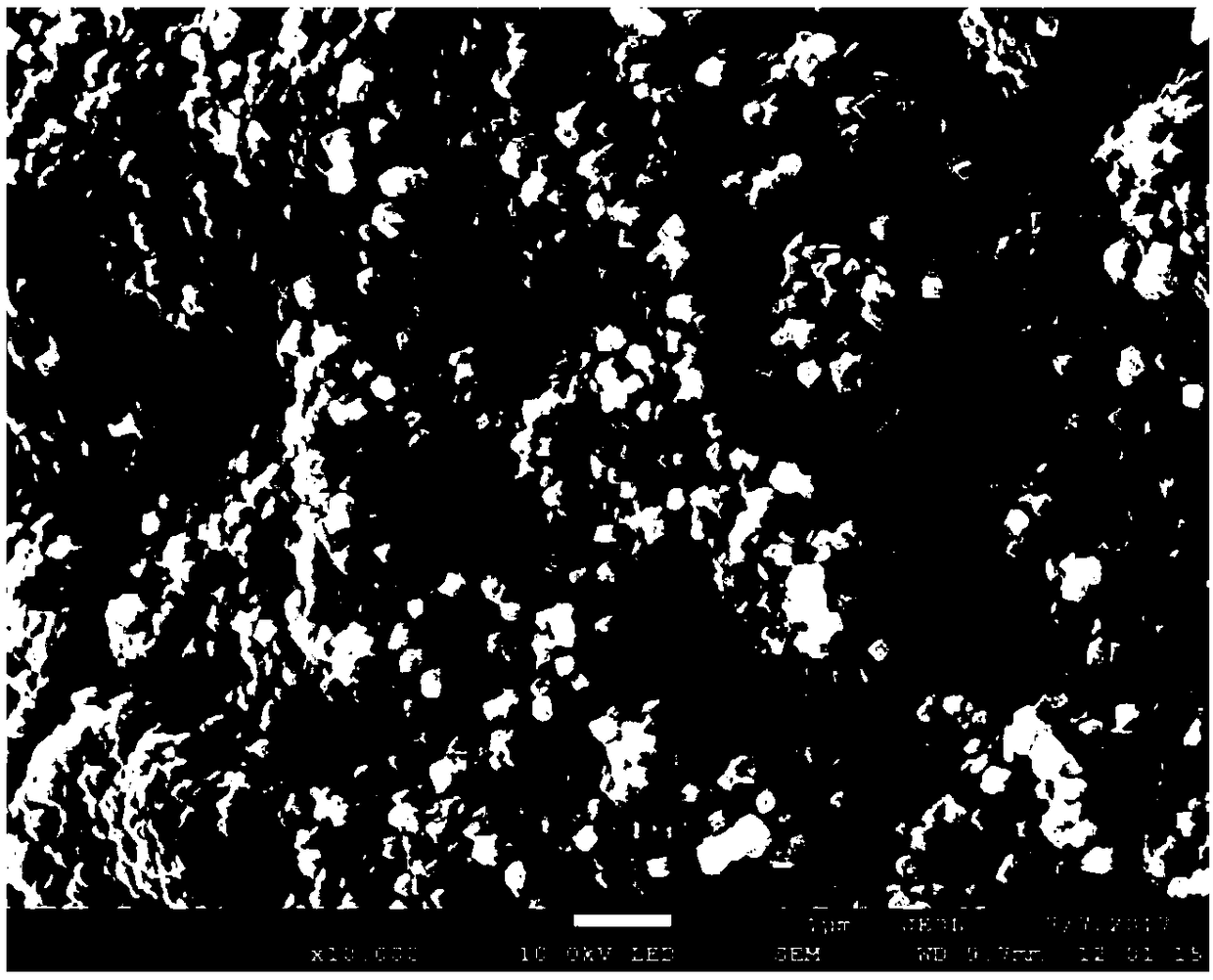 Preparation method and application of modified carbon fiber microelectrode