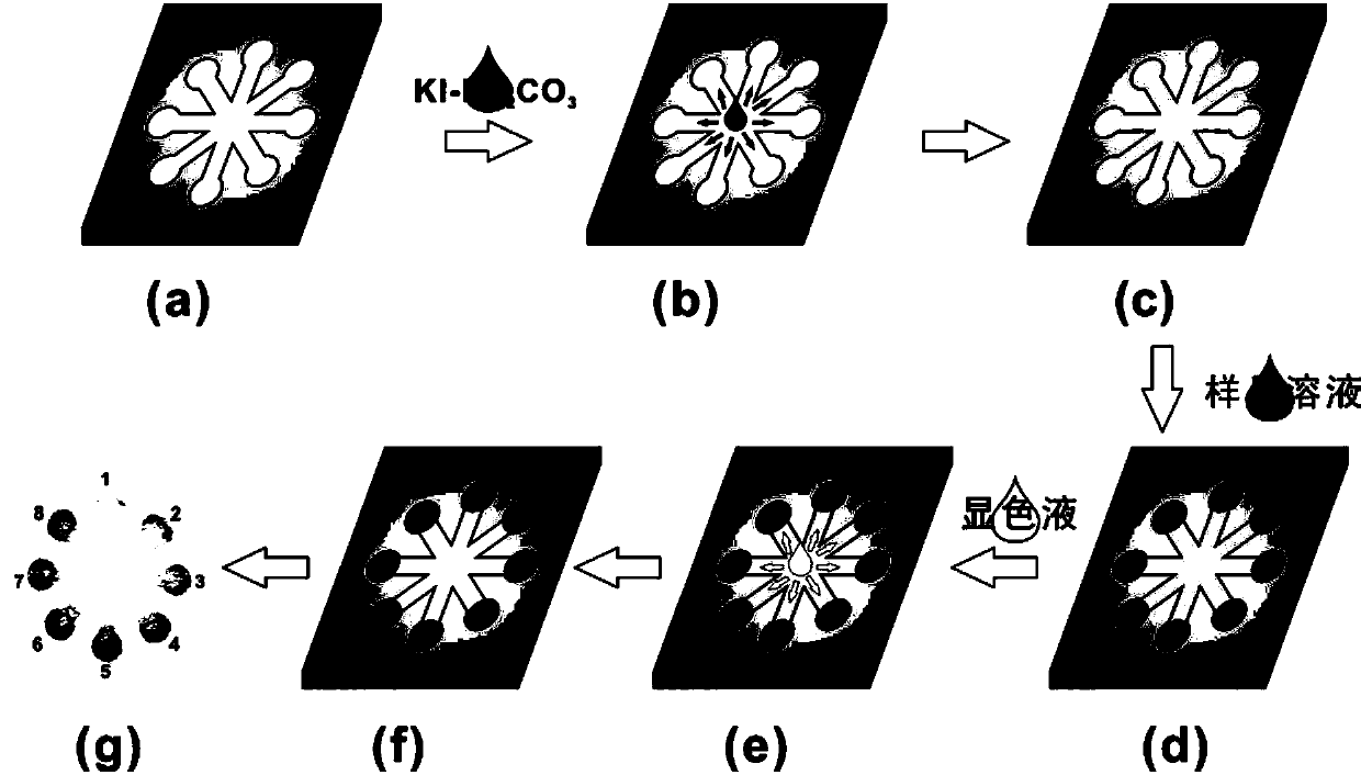 Paper chip detection method for rapidly determining content of amylose in paddy rice and application system adopted in paper chip detection system for rapidly determining content of amylose in paddy rice