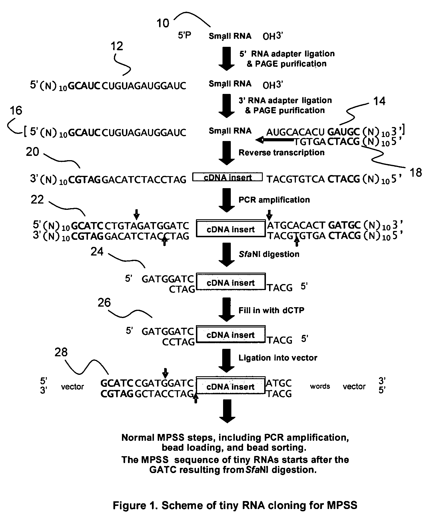 Method for identification and quantification of short or small RNA molecules