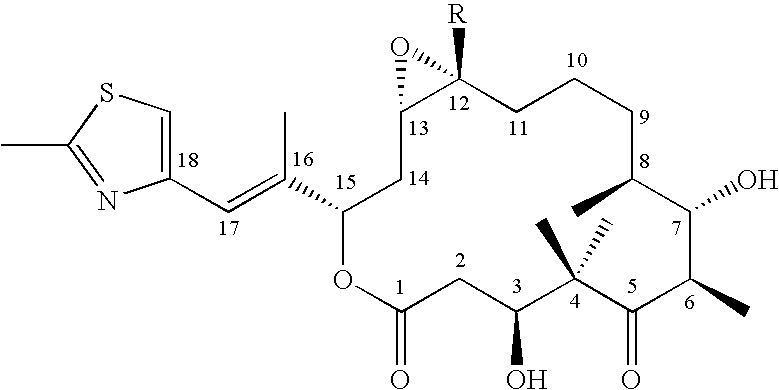 Production of polyketides