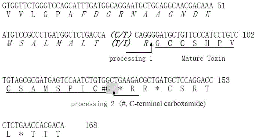 α-conotoxin peptide txic/txd1, its pharmaceutical composition and use