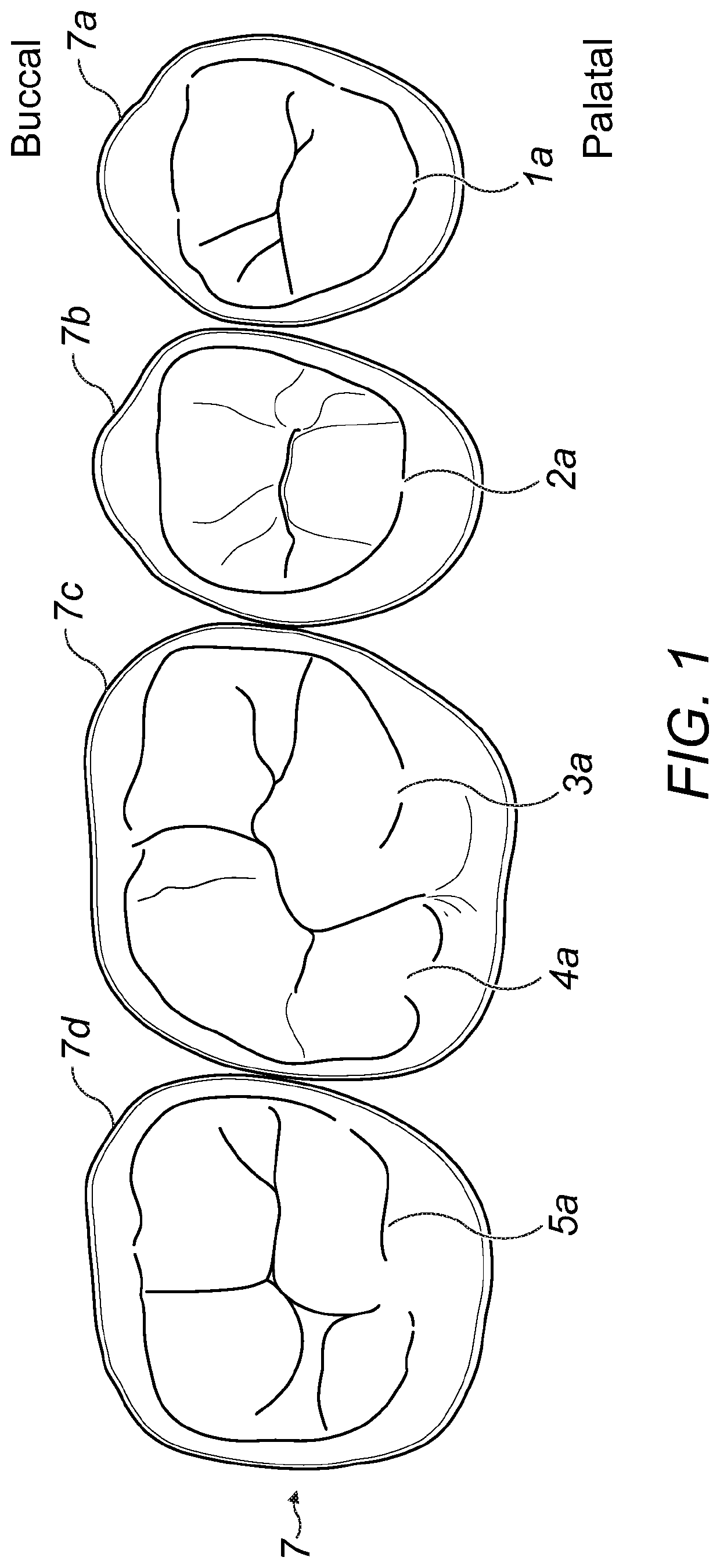 Artificial teeth