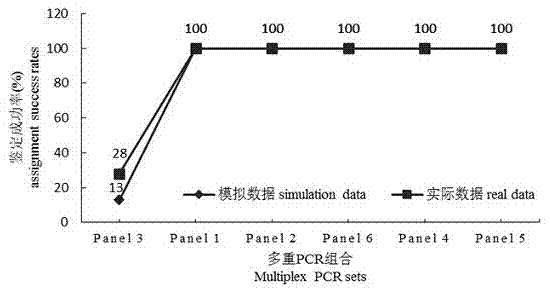 Microsatellite multiplex-PCR (Polymerase Chain Reaction) method for carrying out paternity testing on crassostrea gigas