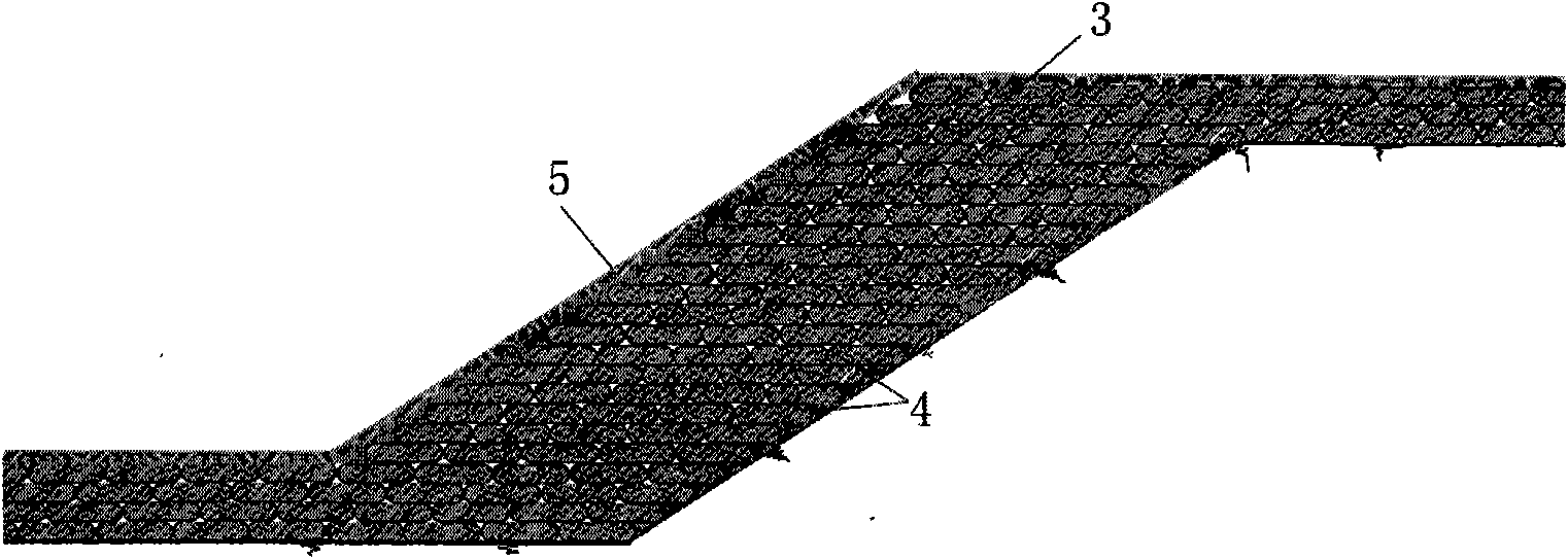 Solid waste earthwork bag and application method thereof