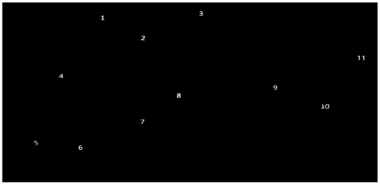 Method for identifying sperm fragments in DNA image