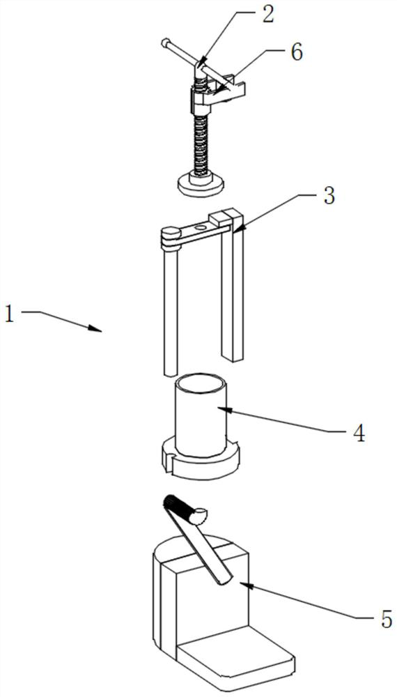 Fruit crushing device for beverage processing