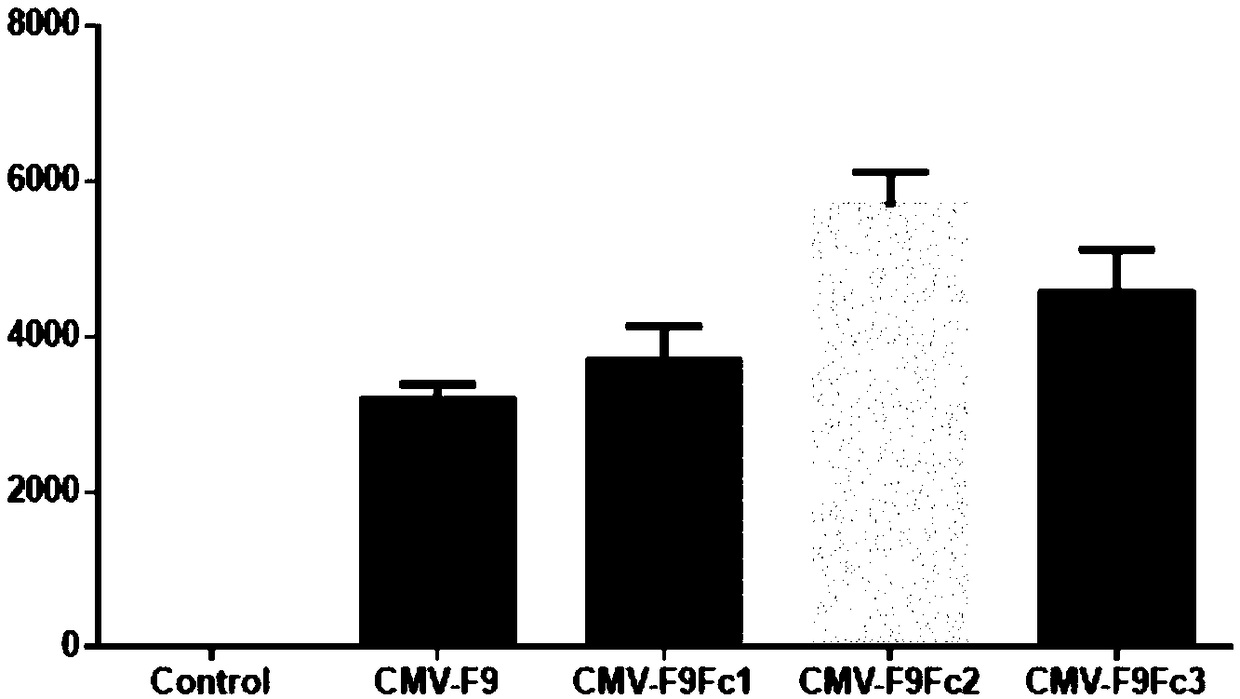 High-activity recombinant human coagulation factor IX fusion protein and preparation method thereof