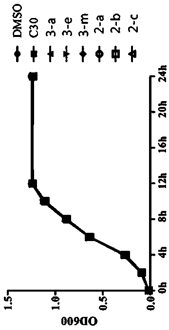 Phenylurea-substituted n-thioacylhomoserine lactone compounds, preparation method and application thereof