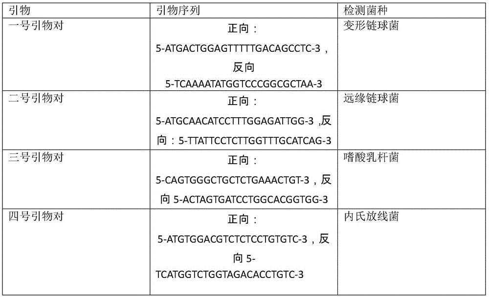 Cariogenic bacteria quantitative detection method