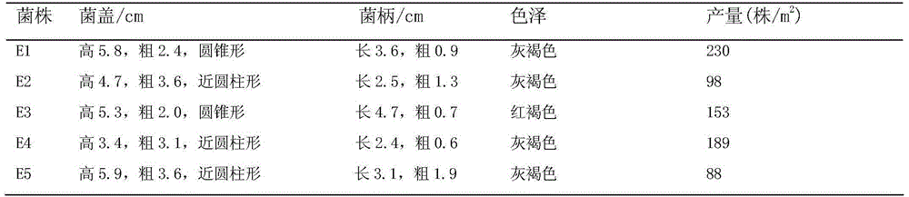 Method for quickly detecting vigor of morchella esculenta L. hyphae