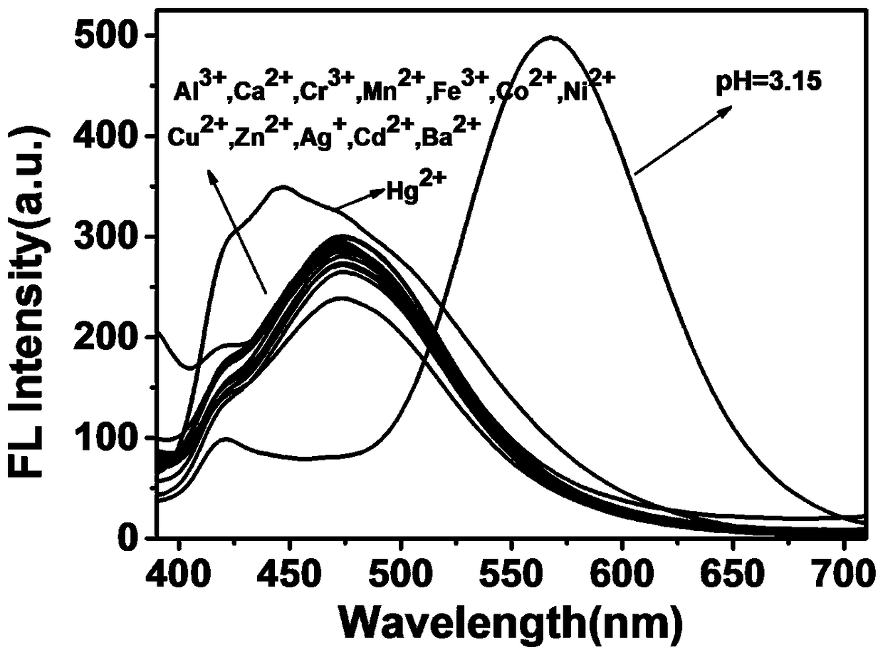 8-benzimidazole quinoline derivative ratiometric pH probe and its preparation method and application