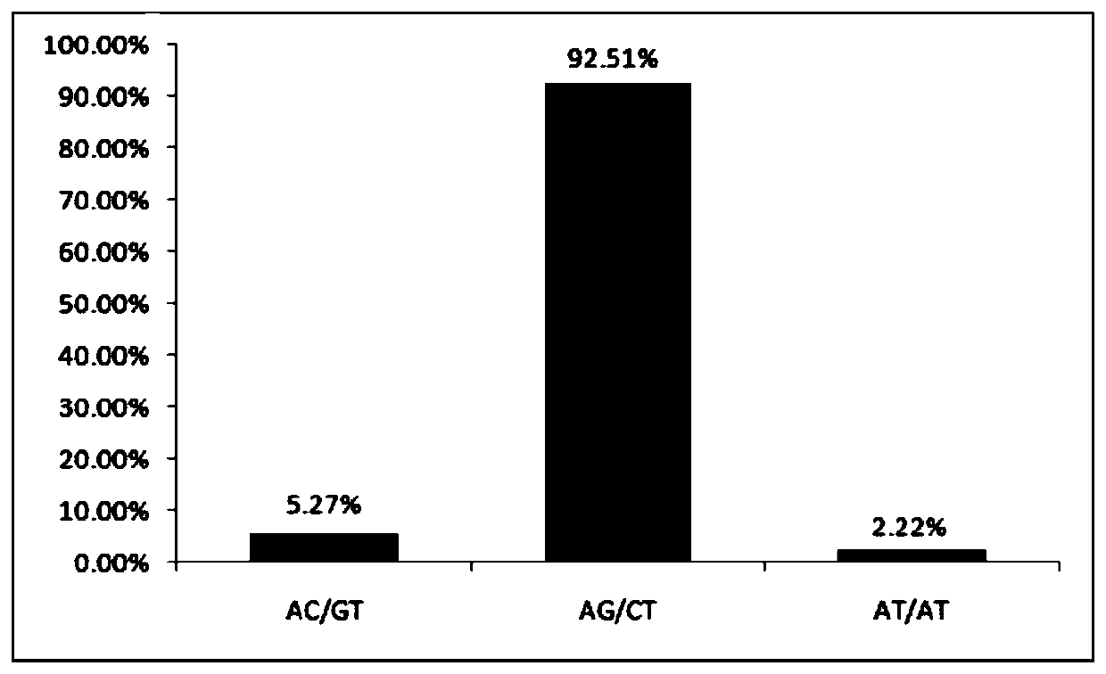 Molecular marker primers for identifying liquidambar plants, application of molecular marker primers and identification method of liquidambar plants