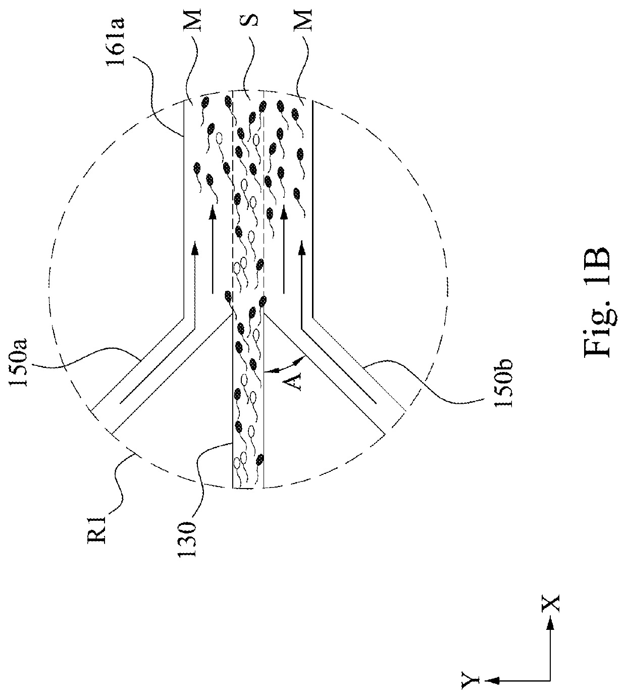 Microfluidic chip for sorting sperm and sperm sorting method