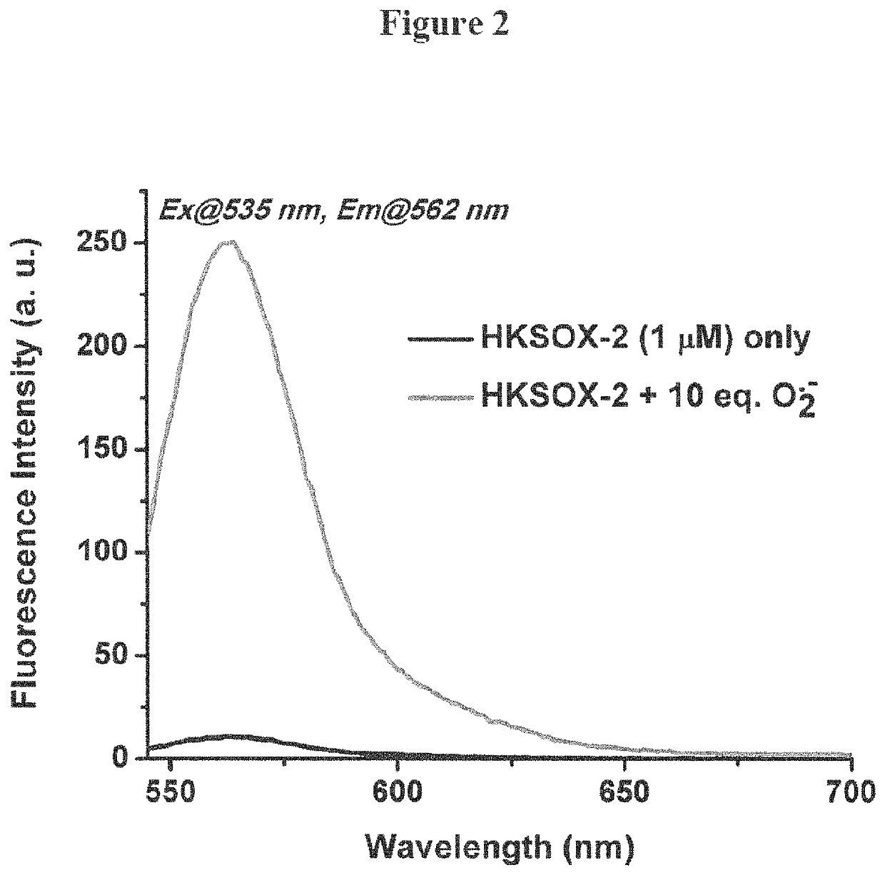 Bistrifilate-based fluorogenic probes for detection of superoxide anion radical