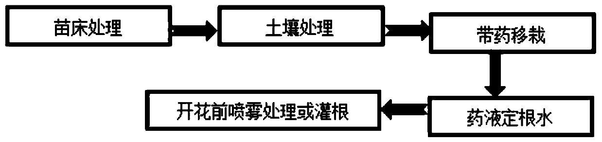 A kind of method for controlling eggplant root rot class diseases