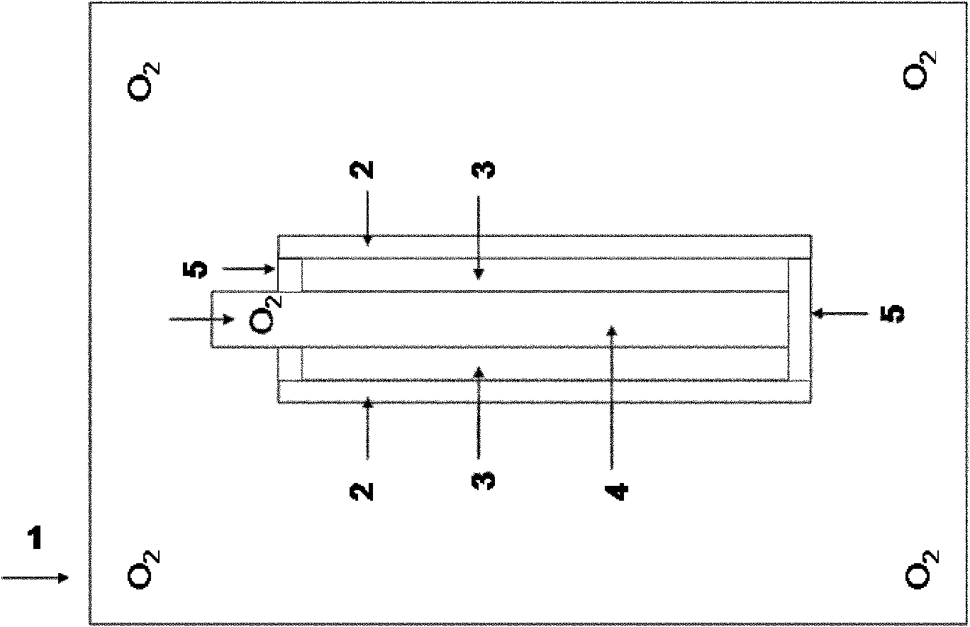 Device and method for preparing hollow heteromorphic bacteria cellulose material