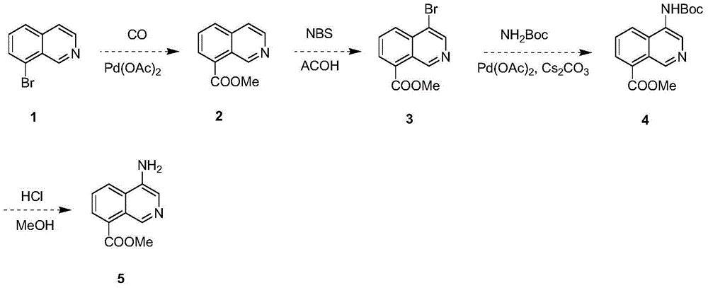 Synthesis method of 4-aminoisoquinoline-8-methyl formate