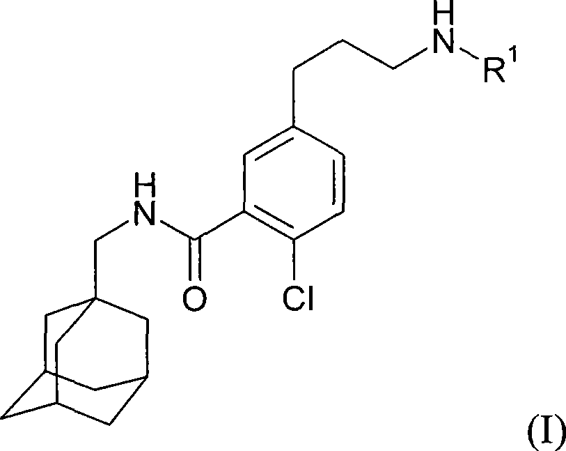 Process for preparing N-methyladamantyl derivatives by a palladium catalysed coupling reaction followed by reductive amination