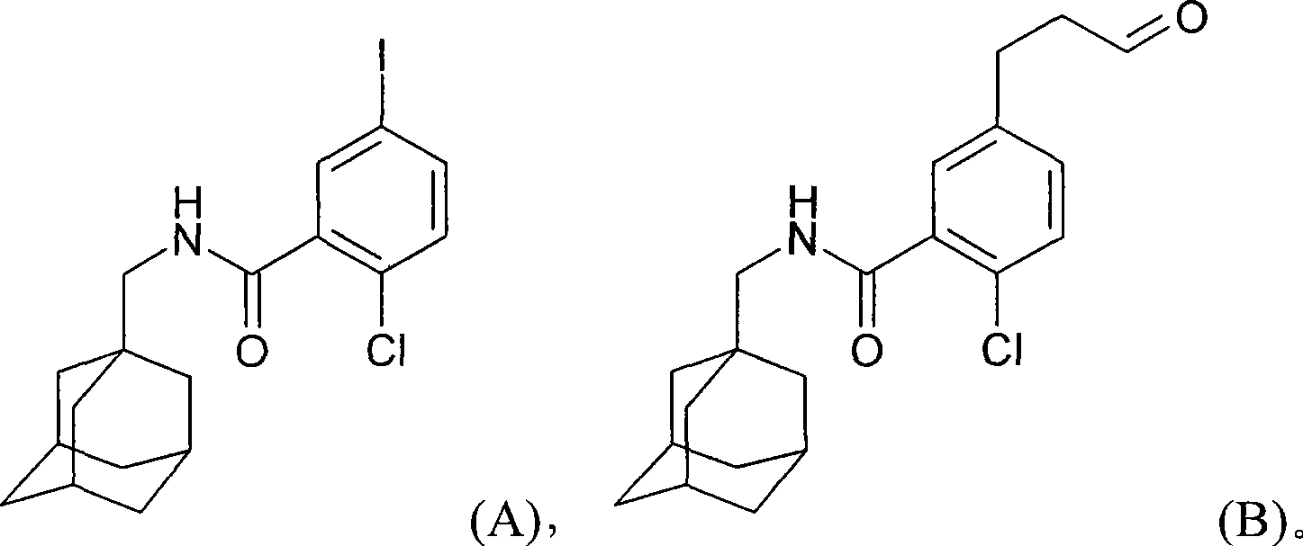 Process for preparing N-methyladamantyl derivatives by a palladium catalysed coupling reaction followed by reductive amination