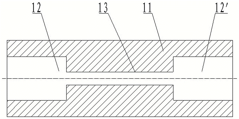 Special track conveying device for poultry processing assembly line