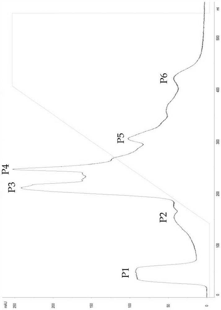 Octadecapeptide for improving cognitive impairment as well as preparation method and application of octadecapeptide