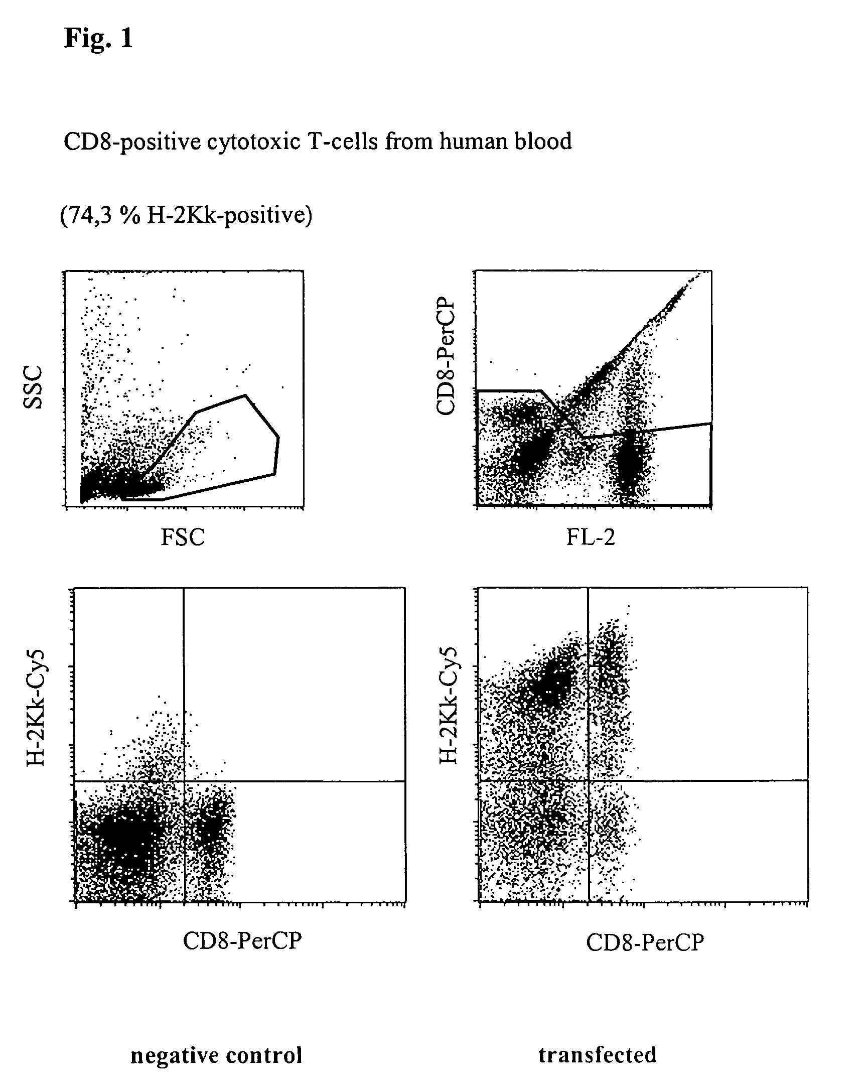 Circuit arrangement for injecting nucleic acids and other biologically active molecules into the nucleus of higher eucaryotic cells using electrical current