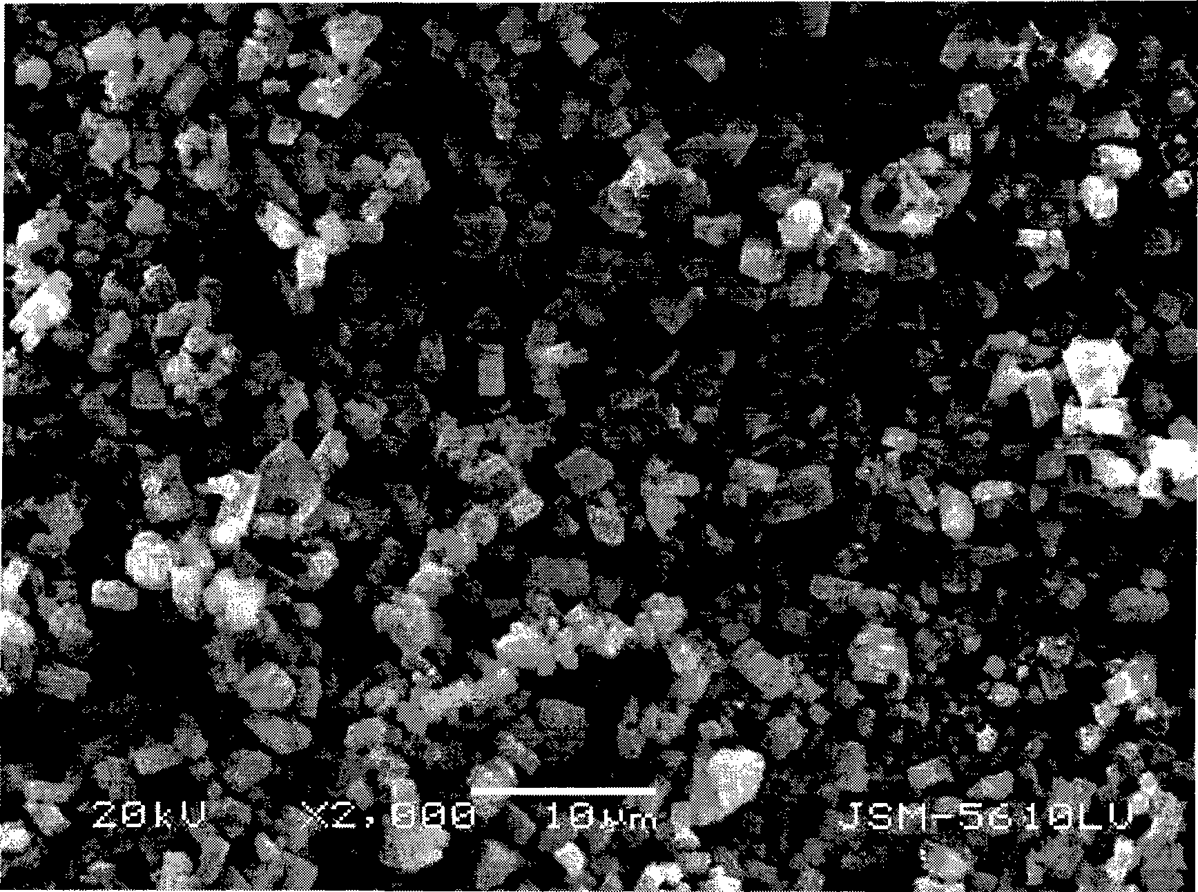 Iron oxalate crystal and preparation thereof