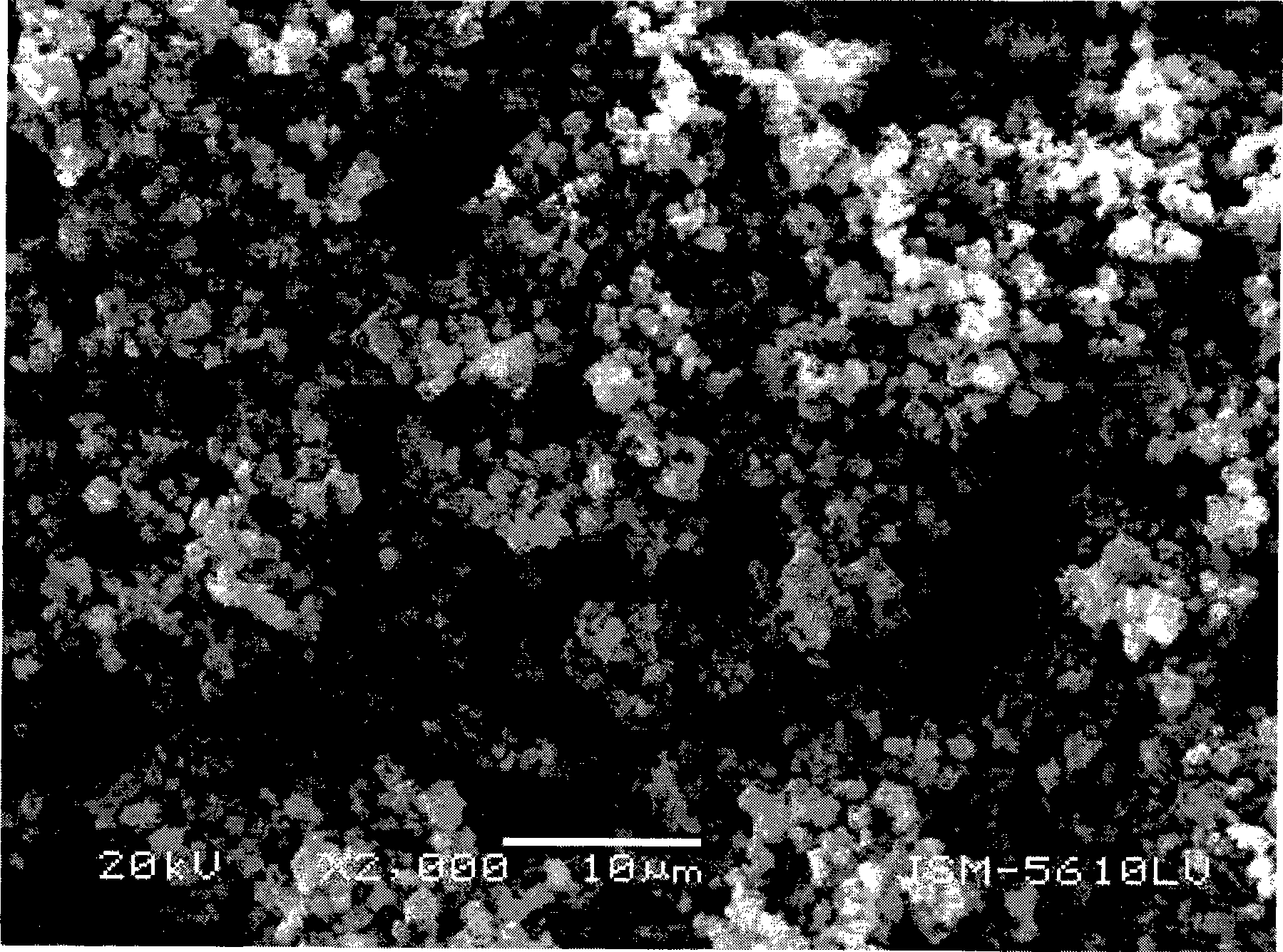 Iron oxalate crystal and preparation thereof