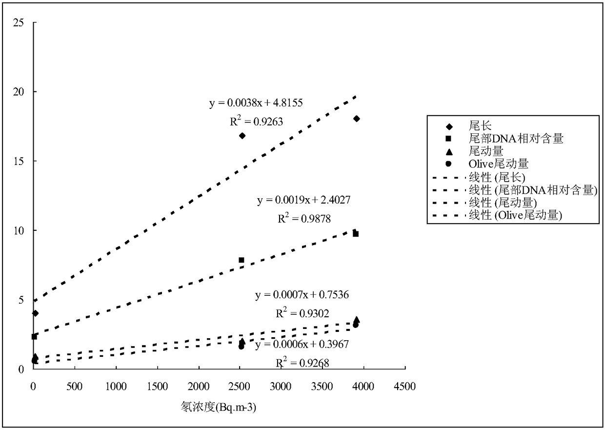 Method for evaluating plant DNA damage of radioactive gas radon by using usnea diffracta
