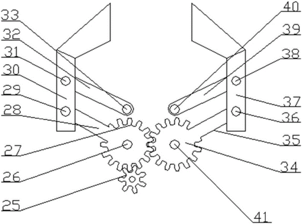 Multifunctional carrying device