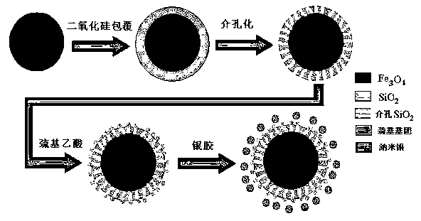 Preparation method of nanosilver and sulfydryl jointly modified magnetic microspheres