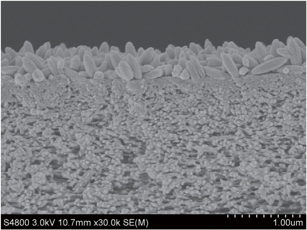 Beta-FeOOH nanocrystal-loaded photocatalytic composite nanofiltration membrane and preparation method thereof