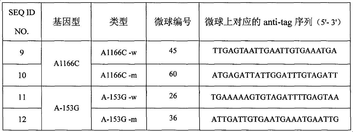 AGT1R (Angiotensin Type 1 Receptor) gene SNP (Single Nucleotide Polymorphism) detection liquid phase chip and specific primer