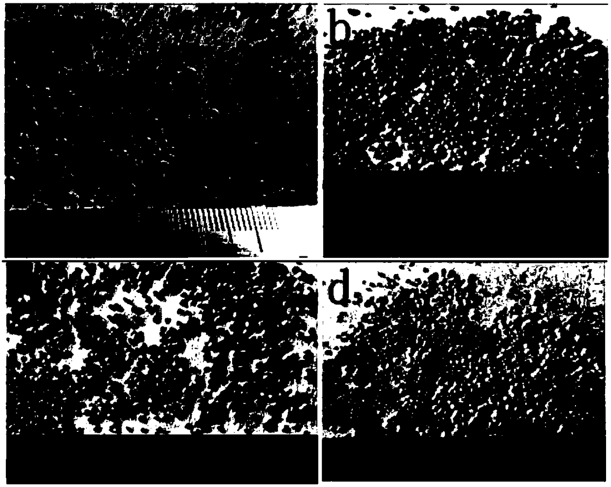 Isometric spherical magnesium material as well as preparation method thereof and application in producing dispersion-type magnesium ventilated plug