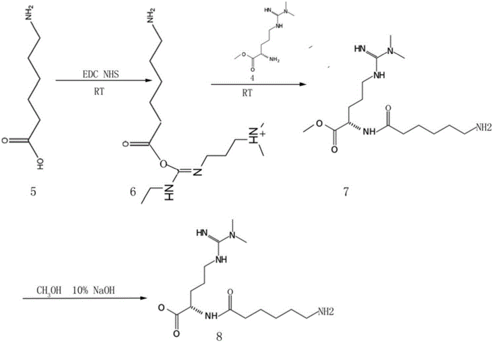 ADMA (Asymmetric Dimethylarginine) immunoassay reagent and detection method