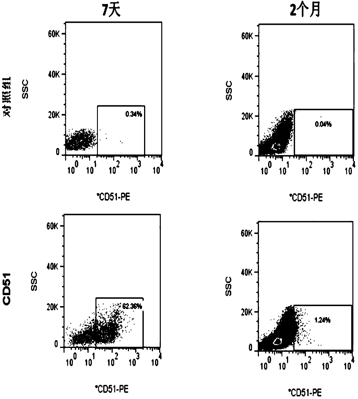 Separation and culture method and application of testicle mesenchymal stem cells