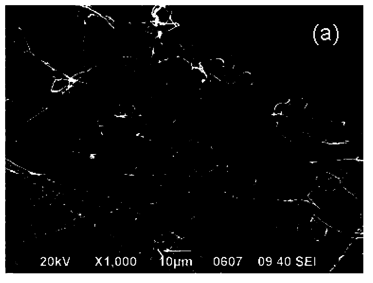 Preparation method of P-type zinc oxide micro/nano fibers