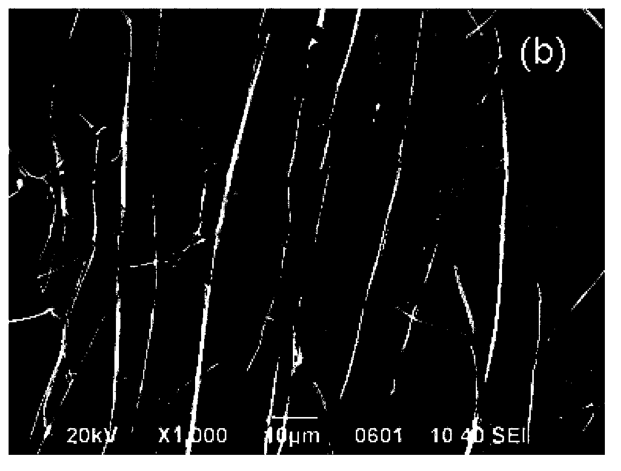 Preparation method of P-type zinc oxide micro/nano fibers