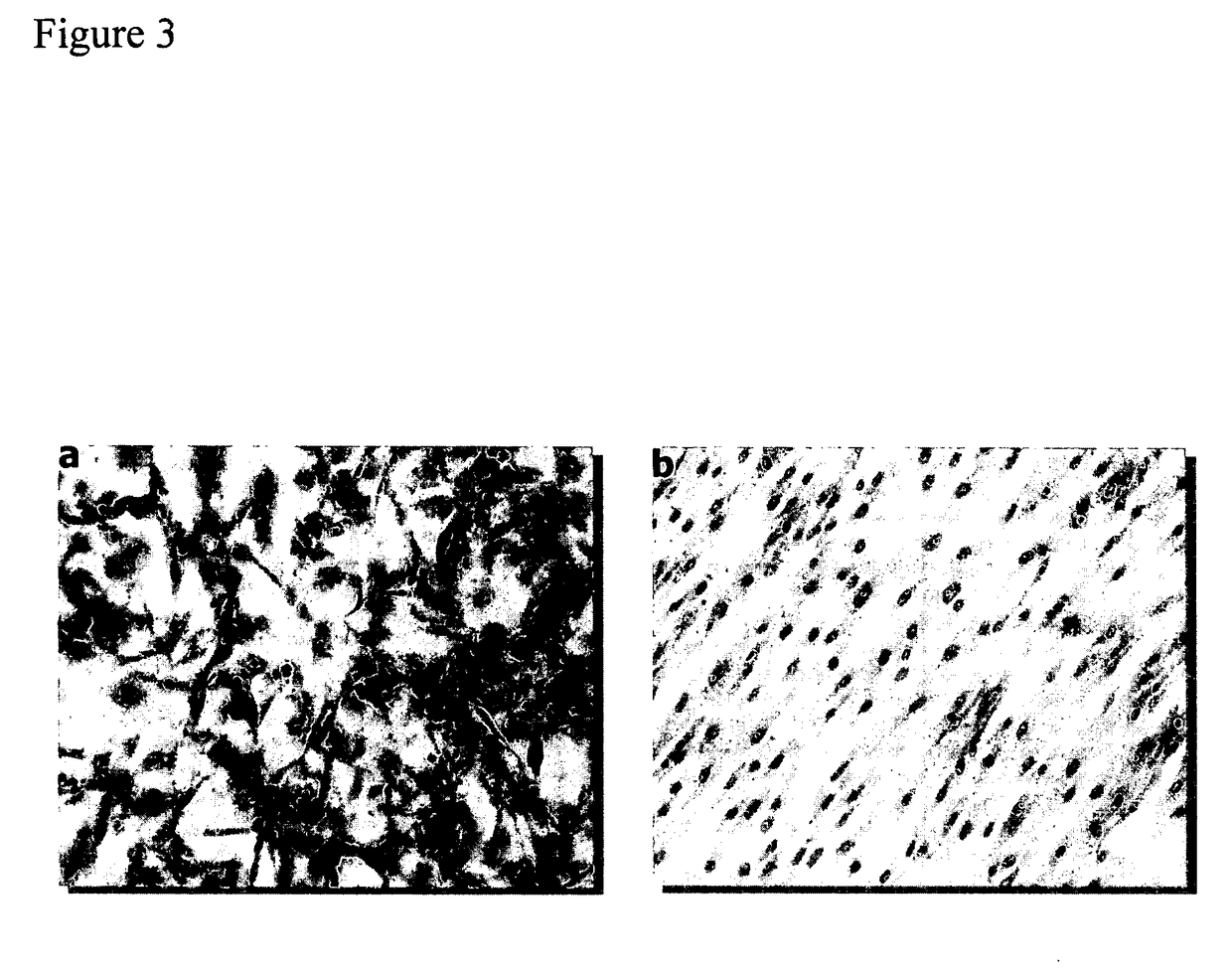 Biocompatible resists