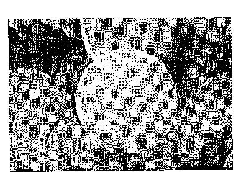 Method for producing verelite microsphere for surface decoration of conductive polyaniline nano-wire