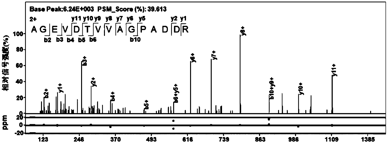 Mycobacterium tuberculosis H37Rv coding gene and application thereof