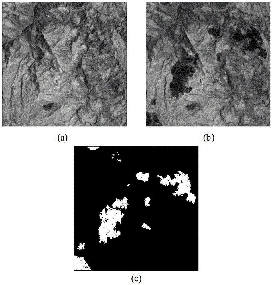 A Change Detection Method in Remote Sensing Image Based on Kernel Propagation